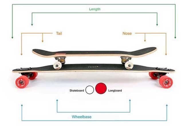 Commuting Skateboard And Longboard