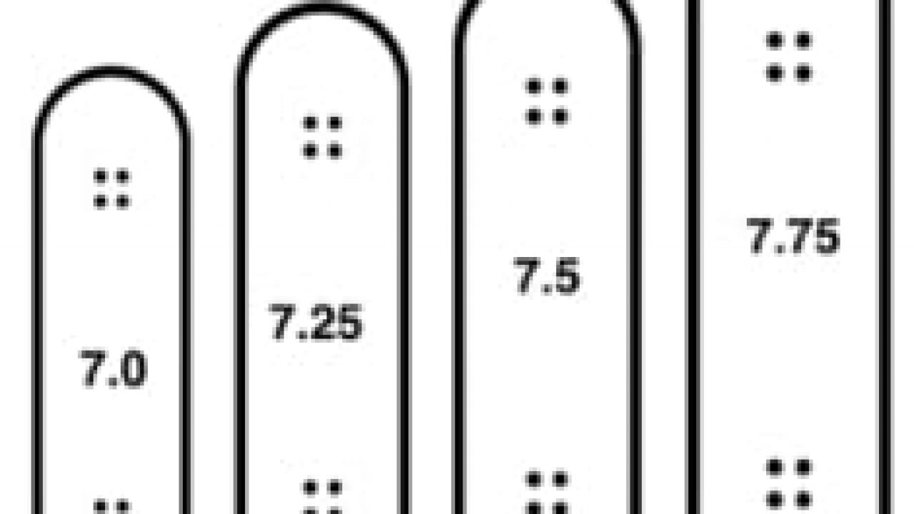 Skateboard Length And Width Chart